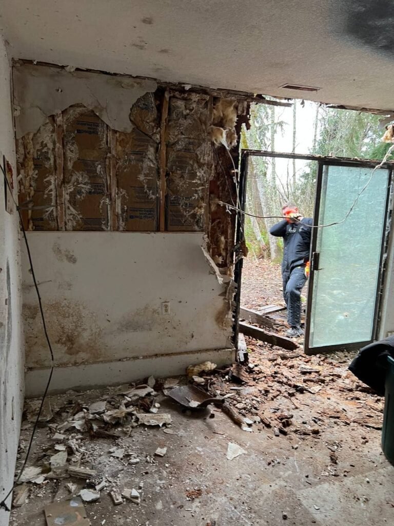 During: interior demolition and cleanup