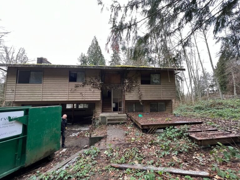 During: cleanup and demolition