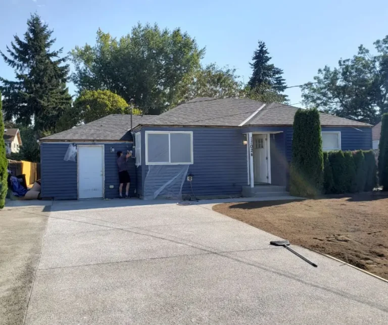 Before: dark gray house