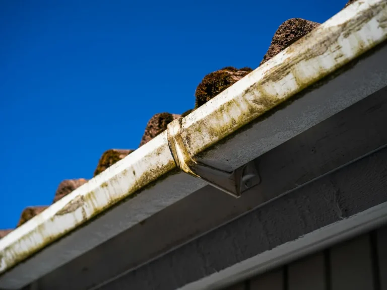 Gutter clogged with moss and fir needles on a Seattle home